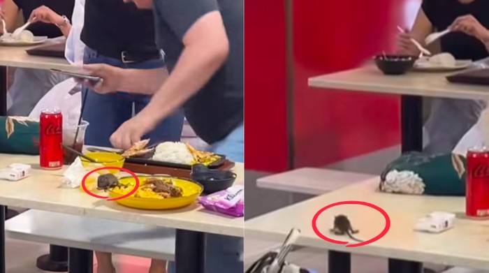 Geli! Tikus Berkeliaran di Food Court Bikin Pengunjung Geger