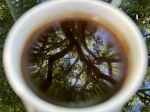 Sejarah Kopi Mocha, Ternyata Asli dari Yaman