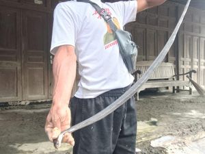 Bikin Kaget! Ular Kobra Tetiba Nongol di TKIT Klaten