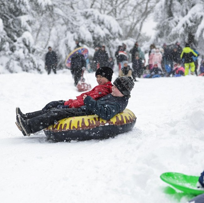 New York Diguyur Salju Lebat, Central Park Jadi Arena Bermain