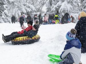 New York Diguyur Salju Lebat, Central Park Jadi Arena Bermain