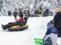 New York Diguyur Salju Lebat, Central Park Jadi Arena Bermain