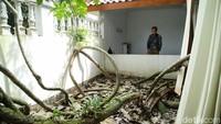 Keunikan arsitektur, nilai sejarah lokal, serta fungsi religius menjadikan Masjid Perahu Cibarusah tetap menarik perhatian masyarakat.
