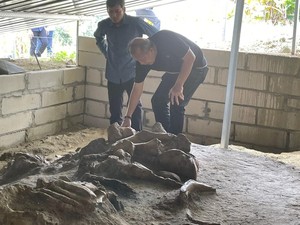 Saan Mustopa Dorong Reboisasi di Lingkungan Situs Purbakala Patiayam Kudus