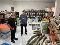 Wakil Ketua DPR Ingin Jadikan Situs Purbakala Patiayam Jadi Cagar Budaya Nasional