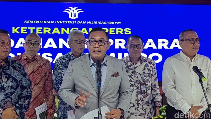 Wakil Menteri Investasi dan Hilirisasi/Wakil Kepala BKPM Todotua Pasaribu