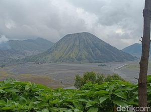 Wisata Gunung Bromo Tutup Sepekan Demi Pemulihan Ekosistem