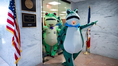 Aksi Katak Hijau di Washington Soroti Isu Demokrasi AS
