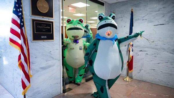 Aksi Katak Hijau di Washington Soroti Isu Demokrasi AS
