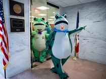 Aksi Katak Hijau di Washington Soroti Isu Demokrasi AS