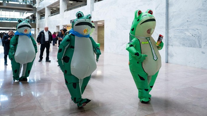 Members of the Portland Frogs walk through the Hart Senate office building as they visit congressional offices ahead of the State of the Union address, on Capitol Hill in Washington, D.C., U.S., February 24, 2026. REUTERS/ Annabelle Gordon