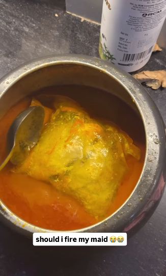 Drama Dapur, ART Masak Ayam dengan Plastik Masih Nempel!