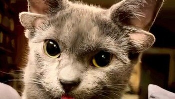 Penampilan kucing dengan dua pasang telinga menjadi fenomena langka di mana mutasi genetik menyebabkan ia memiliki empat telinga sekaligus yang membuatnya tampak seperti makhluk dari dunia fantasi. Foto: BoredPanda