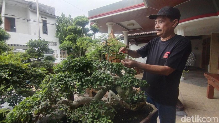 Ketua DPRD Nganjuk Tatit Heru Tjahjono saat ngabuburit bersama bonsai