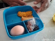 BGN Setop 47 SPPG gegara Kualitas MBG Jelek, Roti Berjamur hingga Telur Busuk
