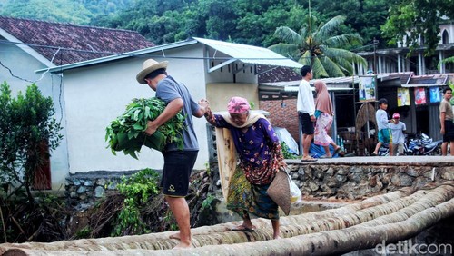 Momen warga dan lansia menyeberang sungai lewat jembatan darurat batang pohon kelapa di Kecamatan Lembar, Lombok Barat, NTB, Rabu (25/2/2026).