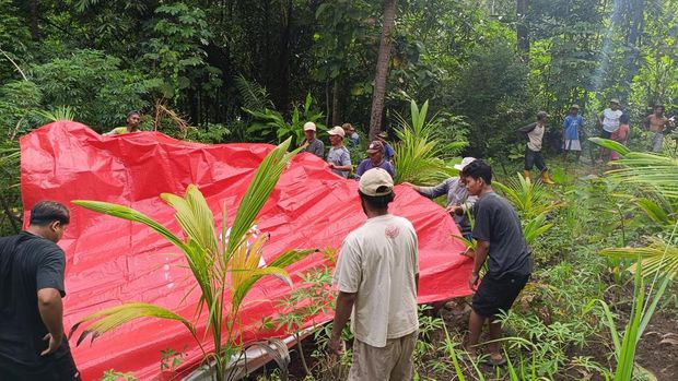 Penampakan sinkhole di Dusun Popohan, Kalibawang, Kulon Progo, Rabu (25/2/2026).