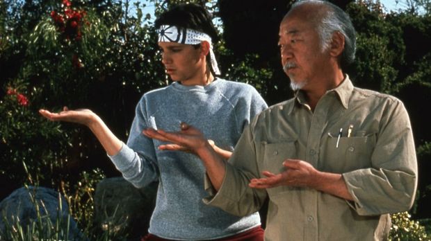 The Karate Kid The Karate Kid (1984).