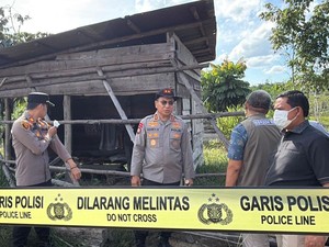 Polda Riau Operasi Sapu Jerat Usai Anak Gajah Mati Terjerat di Tesso Nilo