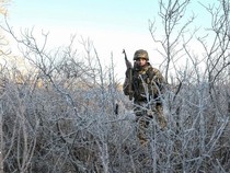 Bagaimana Perang Rusia-Ukraina Berevolusi?