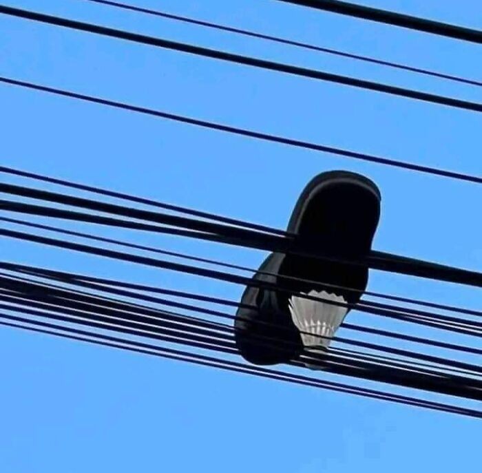 Gambar Kocak yang Bercerita, Nggak Usah Dijelasin Juga Paham