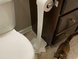 Gambar Kocak yang Bercerita, Nggak Usah Dijelasin Juga Paham