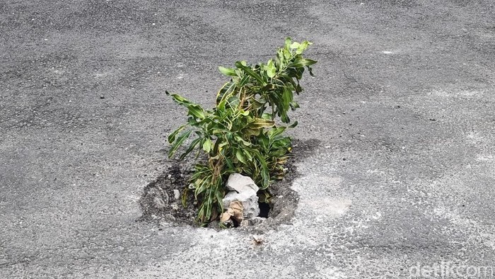 Dinas Pekerjaan Umum Perumahan Rakyat dan Kawasan Permukiman Gunungkidul menyebut ada lubang yang sengaja dibuat di sejumlah ruas Jalan Wonosari. 