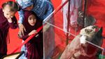 Pameran Artefak Nabi Muhammad di Cibinong Diserbu Pengunjung