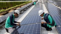DOC beralasan produsen sel dan panel surya yang beroperasi di ketiga negara menerima subsidi dari masing-masing pemerintahnya yang membuat produk AS tidak kompetitif. Hal ini terlihat dari jumlah impor dari ketiga negara ini yang mencapai sekitar US$ 4,5 miliar atau Rp 75,44 triliun, atau hampir dua pertiga dari total impor AS pada 2025. Foto: Anadolu via Getty Images/Anadolu