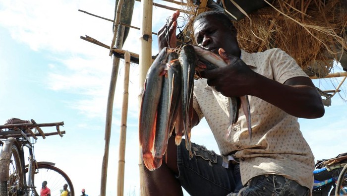 A fisherman navigates his boat loaded with firewood across the shallow waters of Lake Chilwa, near the border with Mozambique, in Malawi, February 20, 2026. REUTERS/Eldson Chagara