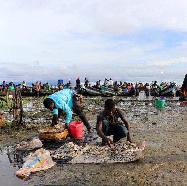 Perubahan Iklim Uji Ketahanan Komunitas Danau Chilwa