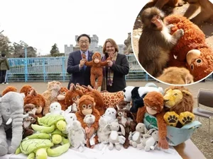 Cute! IKEA Kasih Bayi Monyet Punch Boneka Lebih Banyak