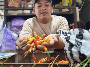 Harga Cabai di Bantul Masih Tinggi, Pedagang Sambat Sepi Pembeli