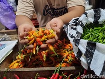 Petani Ungkap Penyebab Harga Cabai Melesat hingga Tembus Rp 90 Ribu/Kg