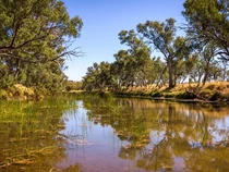 Sungai Tertua di Dunia Ada di Wilayah Ini, Eksis sejak Sebelum Era Dinosaurus