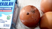 Heboh Telur MBG Siswa SD Tulungagung Ada Kotoran Ayamnya