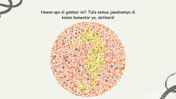 Bisa Temukan 4 Gambar Hewan Air? Harusnya Mudah Kalau Lolos Tes Buta Warna