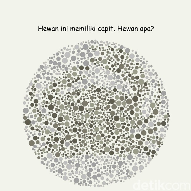 Bisa Temukan 4 Gambar Hewan? Harusnya Mudah Kalau Lolos Tes Buta Warna