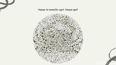 Bisa Temukan 4 Gambar Hewan? Harusnya Mudah Kalau Lolos Tes Buta Warna