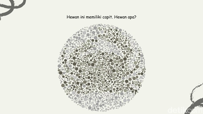 Bisa Temukan 4 Gambar Hewan Air? Harusnya Mudah Kalau Lolos Tes Buta Warna