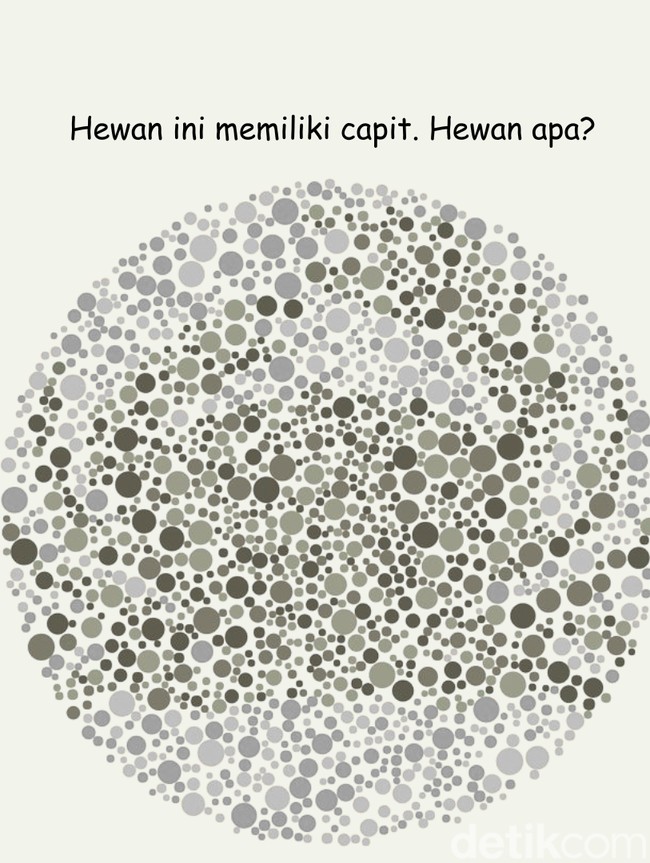 Bisa Temukan 4 Gambar Hewan? Harusnya Mudah Kalau Lolos Tes Buta Warna