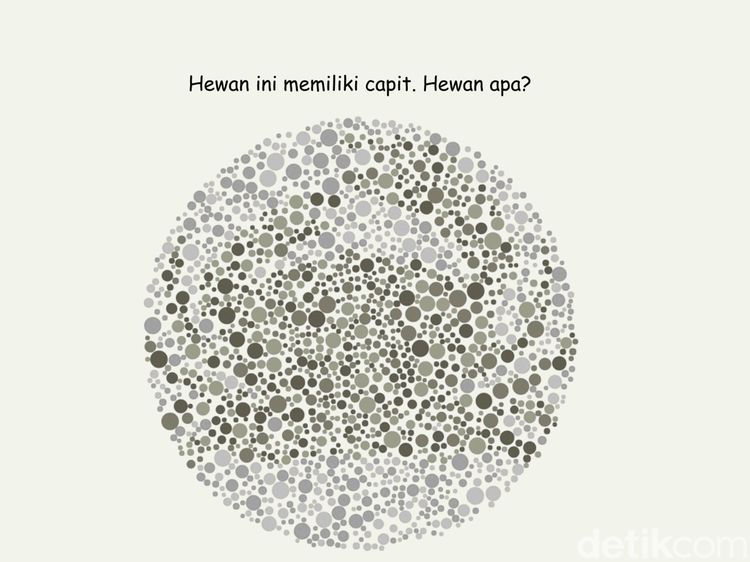 Bisa Temukan 4 Gambar Hewan? Harusnya Mudah Kalau Lolos Tes Buta Warna