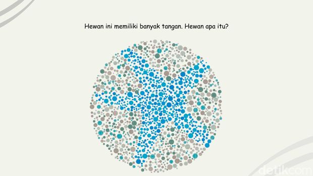 Bisa Temukan 4 Gambar Hewan Air? Harusnya Mudah Kalau Lolos Tes Buta Warna
