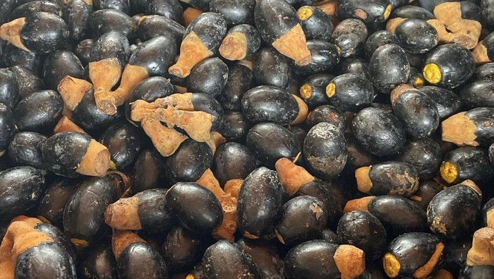 Dabai dikenal dengan kulit hitam pekat dan daging buah berwarna kuning lembut. Cara menikmatinya pun unik, yakni direndam dalam air hangat hingga teksturnya lunak, kemudian disantap dengan taburan garam atau gula. Sensasi gurih dan legit menjadi daya tarik tersendiri.

Sedangkan asam keranji memiliki cangkang keras namun rapuh, dengan rasa asam-manis menyegarkan di dalamnya. Buah musiman ini kerap menjadi camilan favorit masyarakat perbatasan hingga mancanegara.