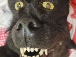 Foto yang Harus Dilihat Dua Kali, Baru Deh Ngeh