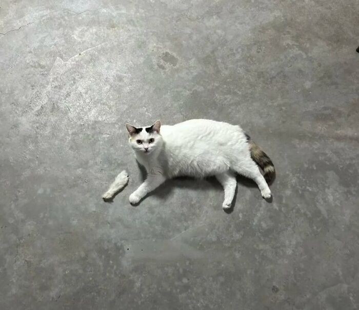 Foto yang Harus Dilihat Dua Kali, Baru Deh Ngeh