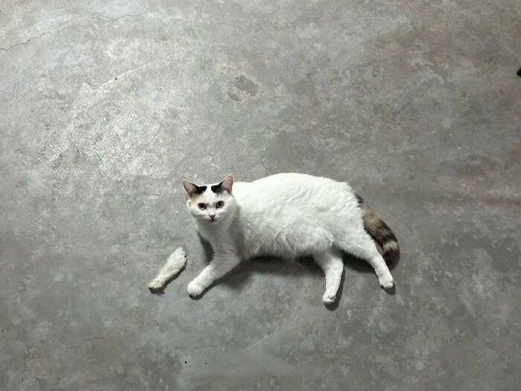 Foto yang Harus Dilihat Dua Kali, Baru Deh Ngeh