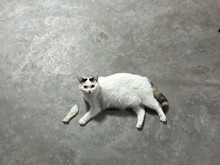 Foto yang Harus Dilihat Dua Kali, Baru Deh Ngeh