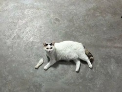 Foto yang Harus Dilihat Dua Kali, Baru Deh Ngeh