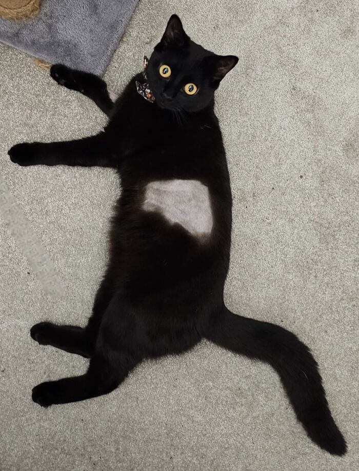 Foto yang Harus Dilihat Dua Kali, Baru Deh Ngeh